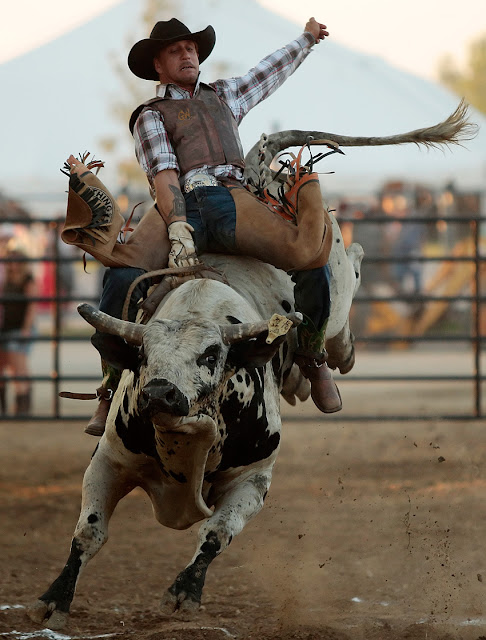 burhan uddin ahmed add Nude Bull Riding photo