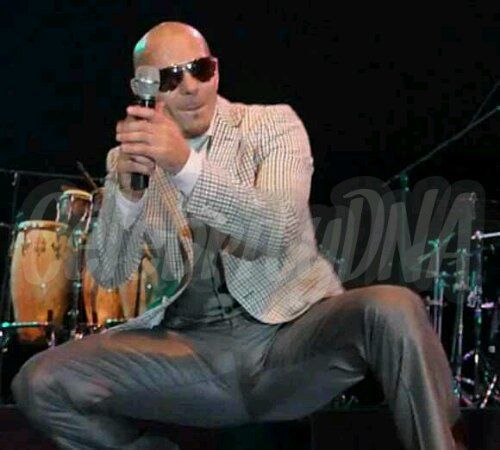 akki mack add Pitbull Nude photo