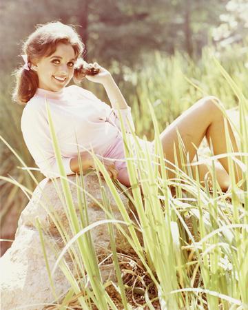 dor horvitz add Dawn Wells Nude Pics photo