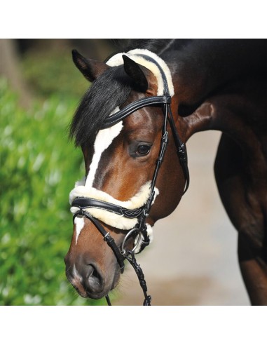 carlene stoner add Ivy Reins photo