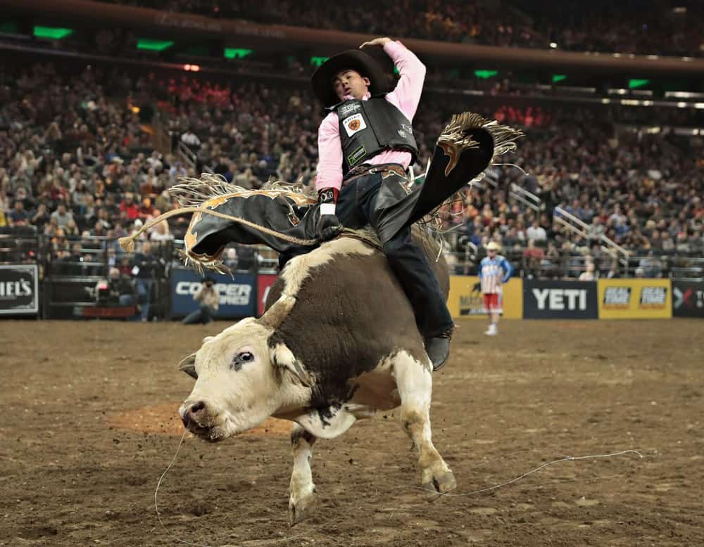 beverly saavedra add Nude Bull Riding photo