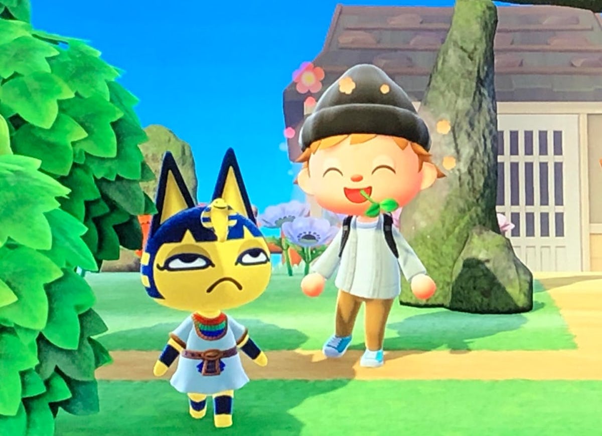 aabhas agrawal add Animal Crossing Ankha Porn photo