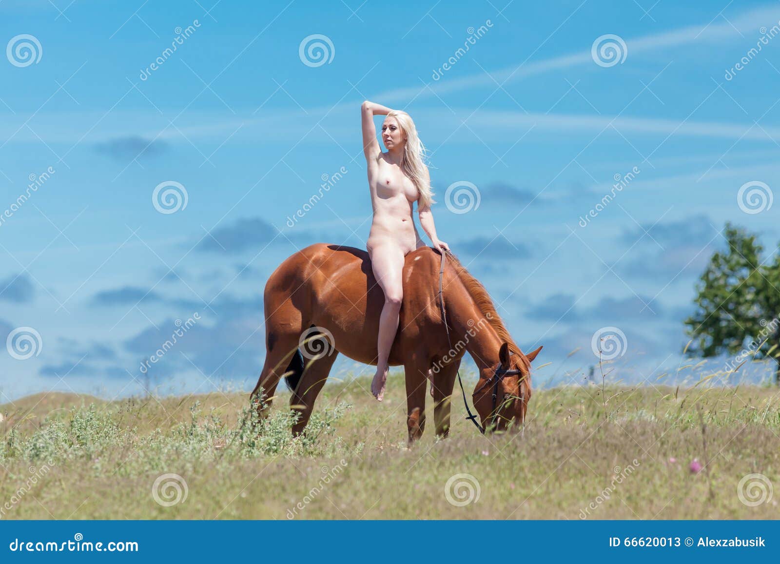 Nude Women Riding Horses 14308