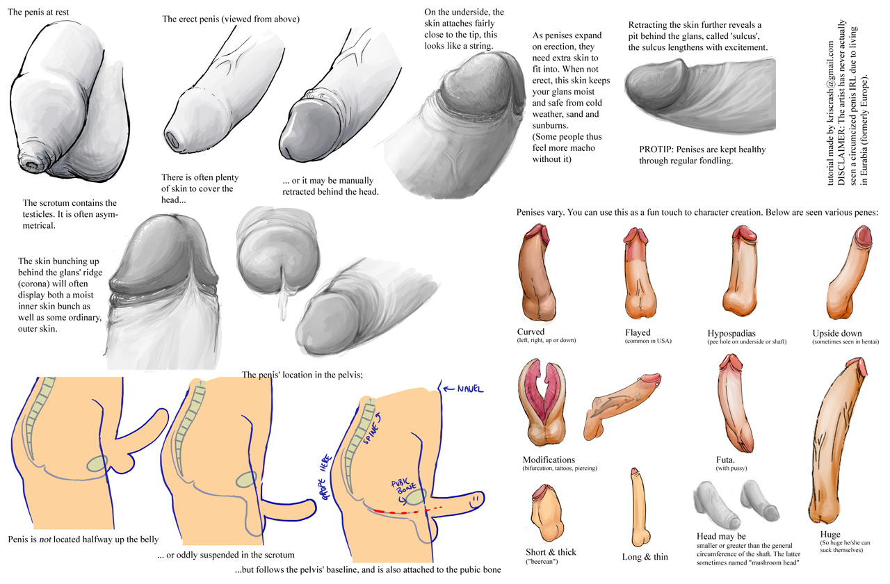 carlo mercado add How To Draw Porn photo