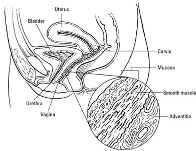 chizoba onyeka add Penis Entering Vagina photo