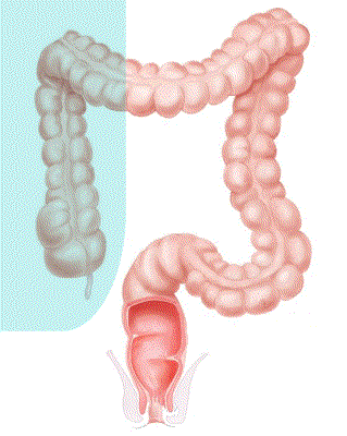 behrouz eslami add Anal Fist Guide photo