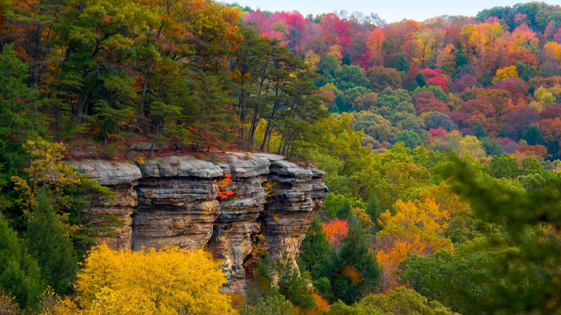 anthony lamas add Forest Cliff Porn photo