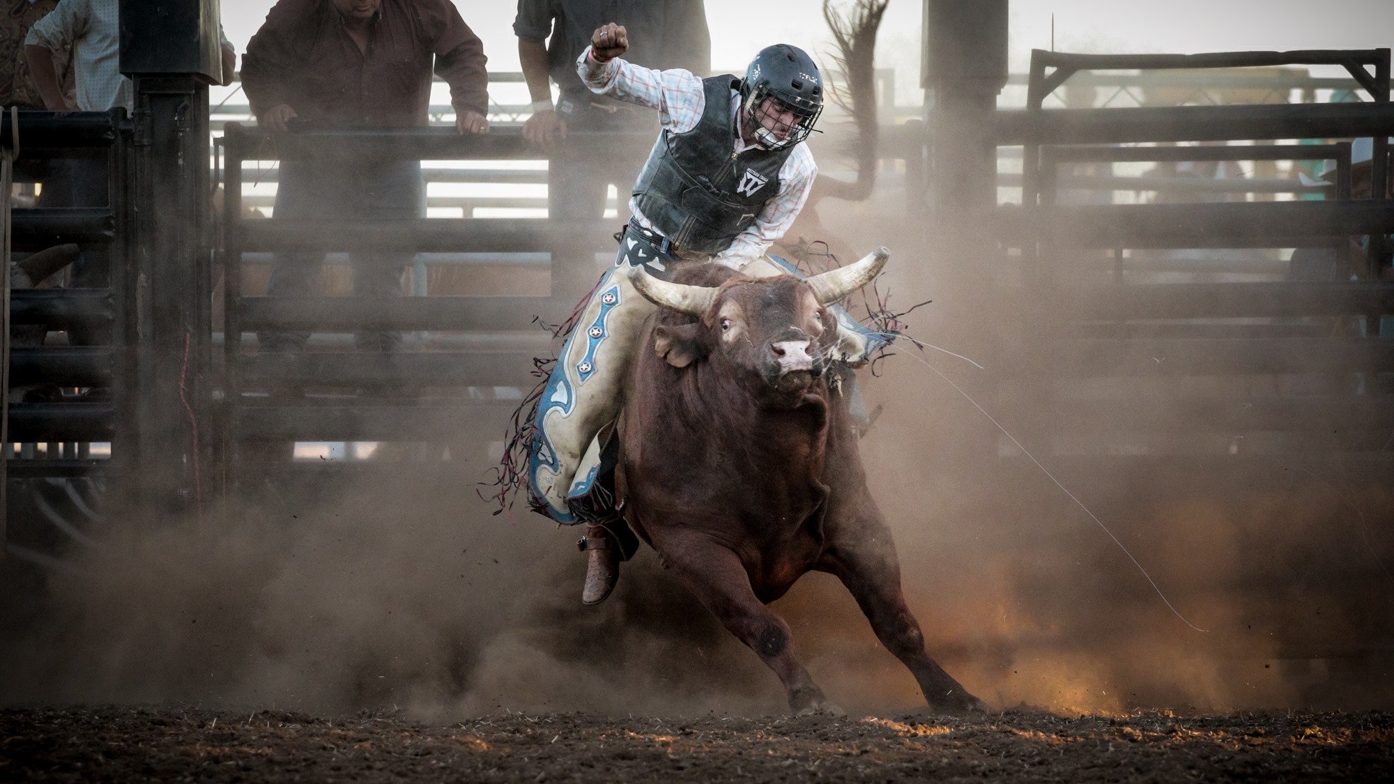 anton bergman add Nude Bull Riding photo