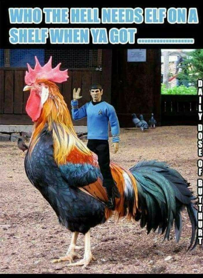 akintayo add Spock On A Cock photo