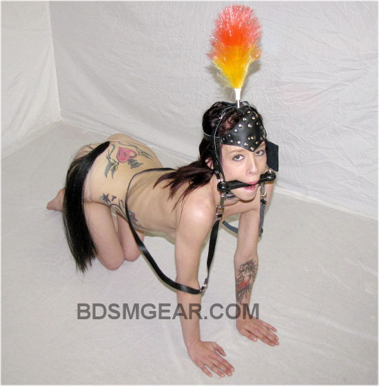 debbie ashcraft add Ponyplay Bondage photo