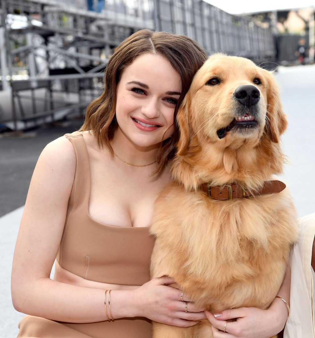 bigg rock add Joey King Tits photo