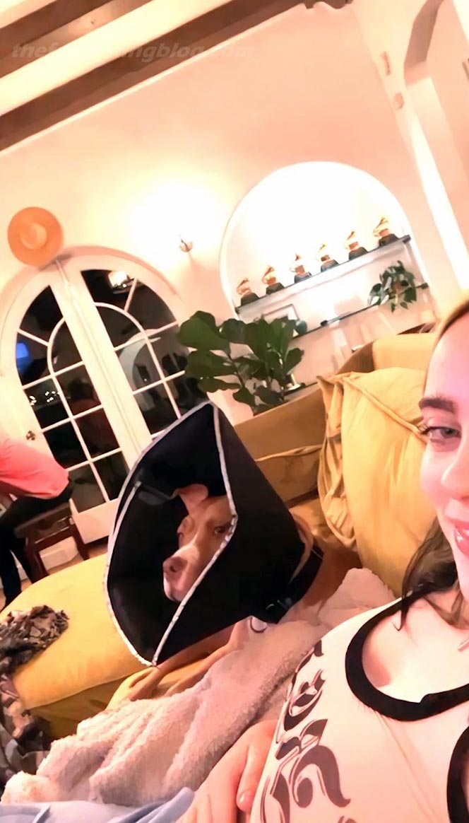 cody montano add Billie Eilish Boobs Leaked photo