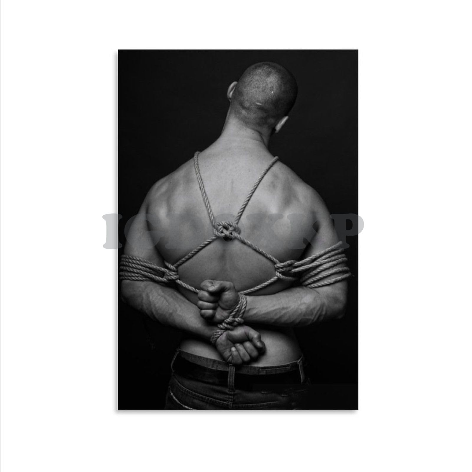 alexis anne add Bondage Art Male photo