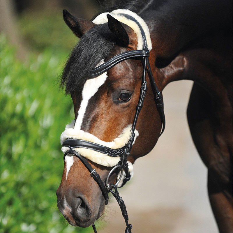 debbie zhou add Ivy Reins photo