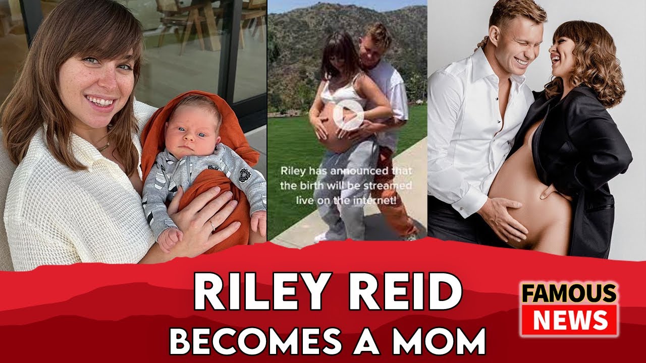 andrew stickley add Riley Reid Baby Daddy photo