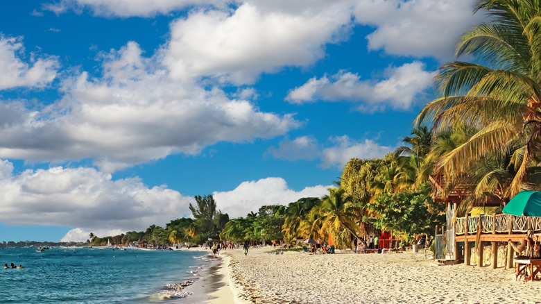 alando brown add Caribbean Beach Nude photo