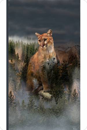 chris wikel add Homemade Cougar photo