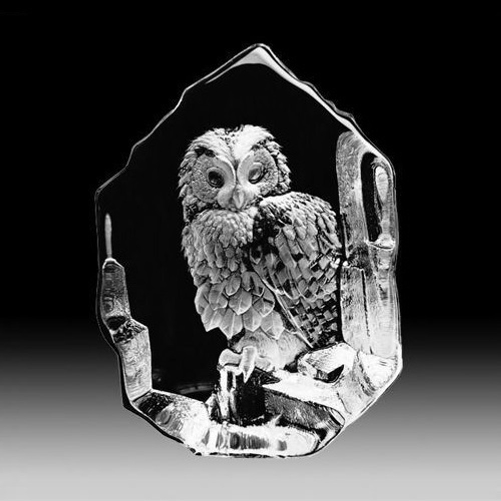 angie pawlik add Owl Crystal Anal photo