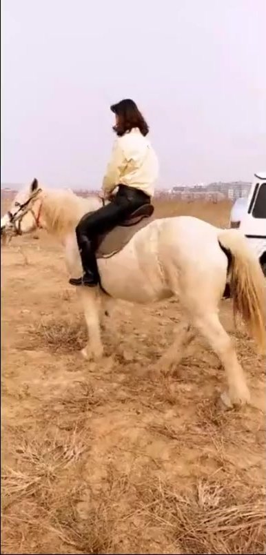 abhishek poswal add Riding Mistress photo